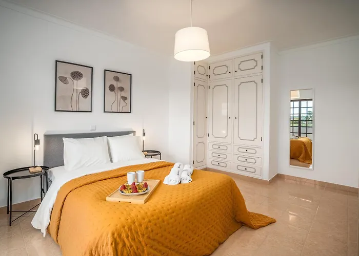 Host Wise - Sunny Spacious House - Terrace & Free Parking