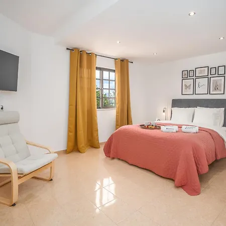 Vila Host Wise - Sunny Spacious House - Terrace & Free Parking